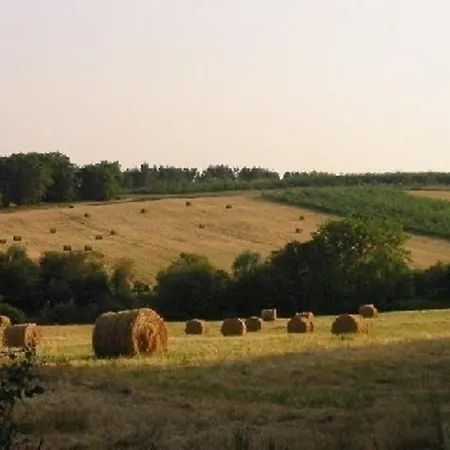 La Musardière La Roche-Chalais